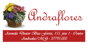 ANDRAFLORES